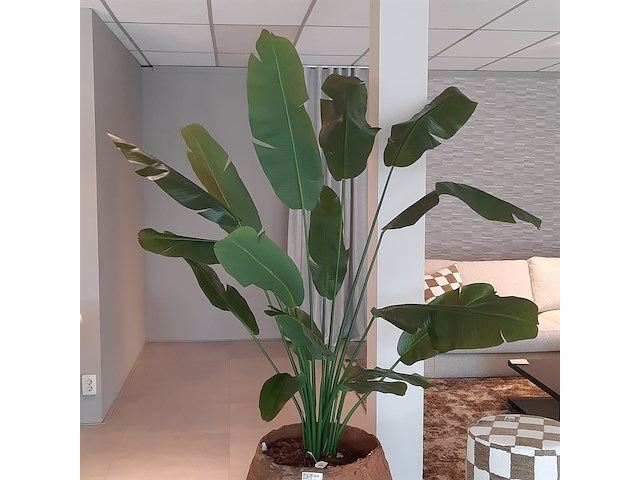 Kunstplant in pot colours&green, strelizia - afbeelding 3 van  6