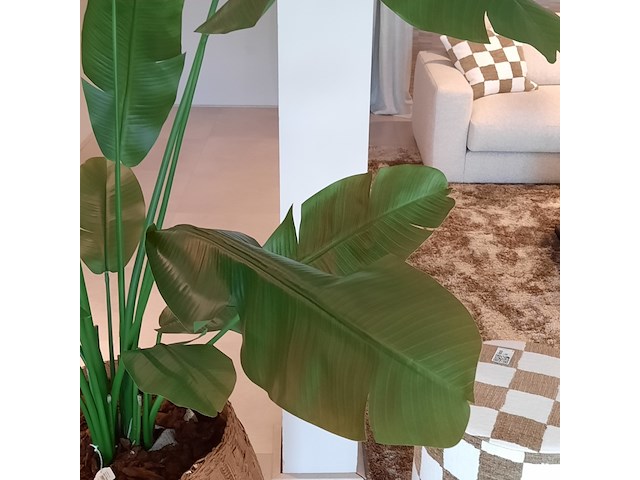 Kunstplant in pot colours&green, strelizia - afbeelding 4 van  6