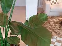 Kunstplant in pot colours&green, strelizia - afbeelding 4 van  6