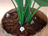 Kunstplant in pot colours&green, strelizia - afbeelding 6 van  6