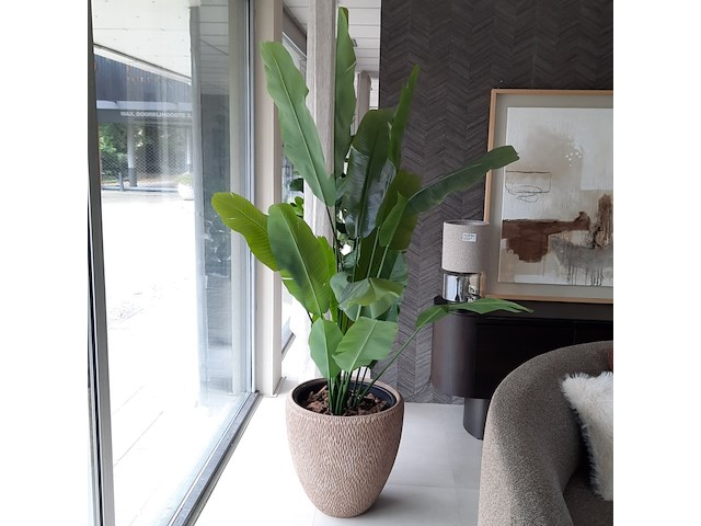 Kunstplant in pot colours&green, strelizia - afbeelding 1 van  7