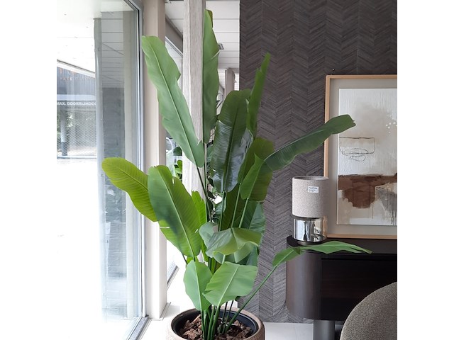 Kunstplant in pot colours&green, strelizia - afbeelding 3 van  7