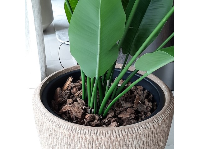 Kunstplant in pot colours&green, strelizia - afbeelding 5 van  7
