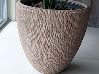 Kunstplant in pot colours&green, strelizia - afbeelding 6 van  7