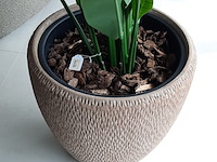 Kunstplant in pot colours&green, strelizia - afbeelding 7 van  7