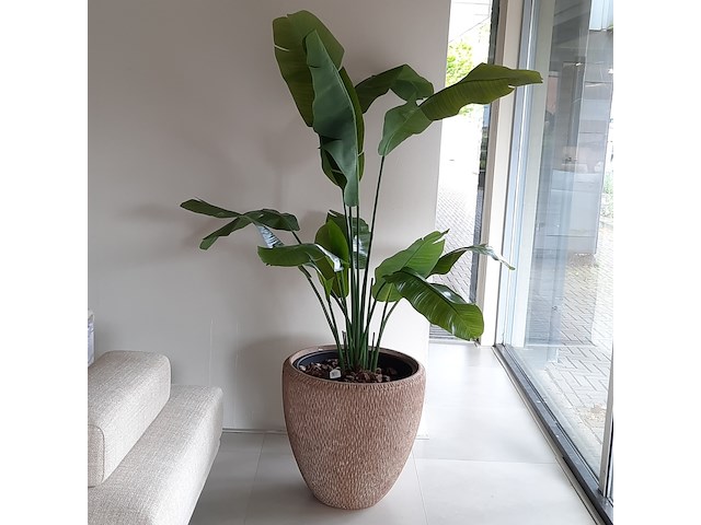 Kunstplant in pot colours&green, strelizia - afbeelding 1 van  8