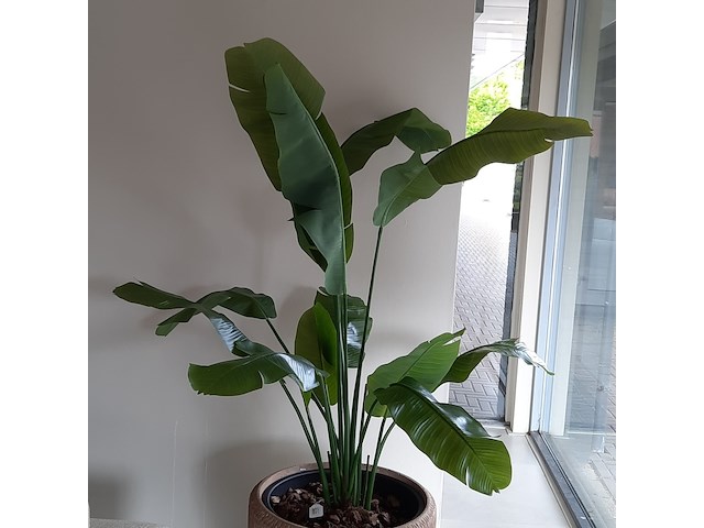 Kunstplant in pot colours&green, strelizia - afbeelding 3 van  8