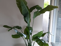 Kunstplant in pot colours&green, strelizia - afbeelding 3 van  8