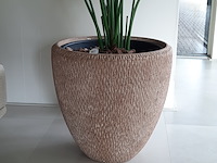 Kunstplant in pot colours&green, strelizia - afbeelding 7 van  8