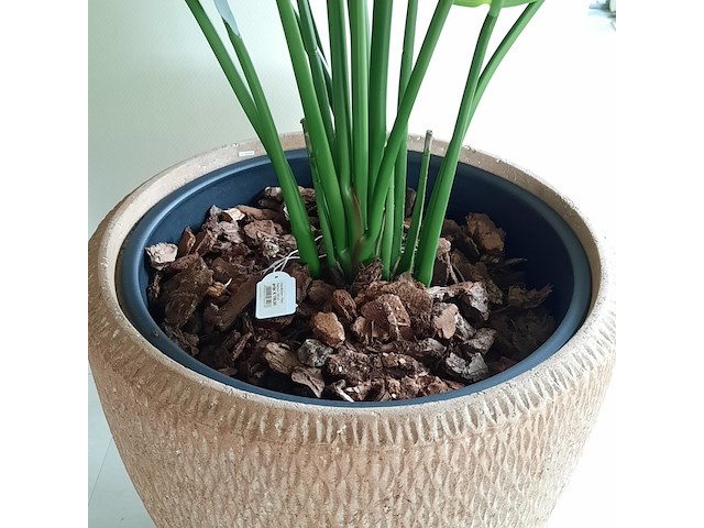 Kunstplant in pot colours&green, strelizia - afbeelding 8 van  8