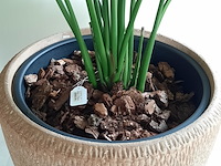 Kunstplant in pot colours&green, strelizia - afbeelding 8 van  8