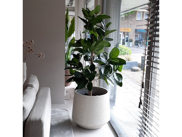 Kunstplant in pot colours&green - afbeelding 1 van  8