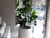 Kunstplant in pot colours&green - afbeelding 1 van  8