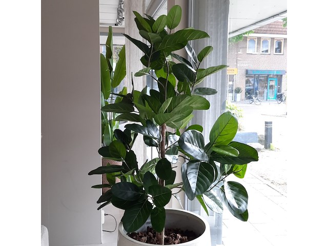 Kunstplant in pot colours&green - afbeelding 3 van  8