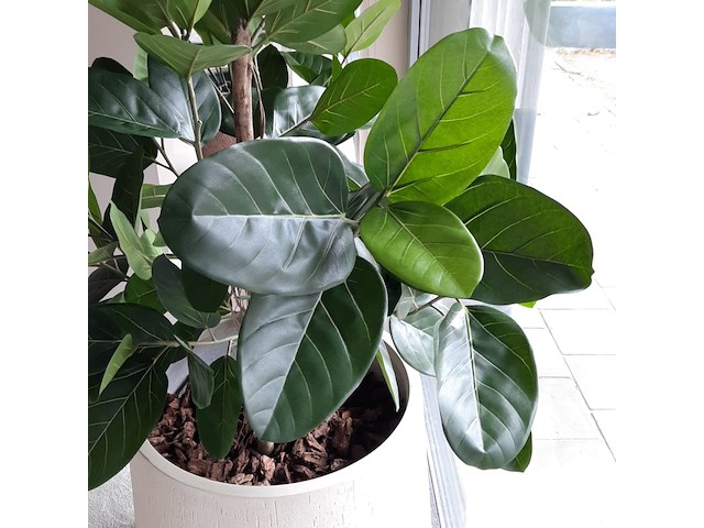 Kunstplant in pot colours&green - afbeelding 4 van  8