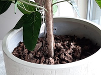 Kunstplant in pot colours&green - afbeelding 5 van  8
