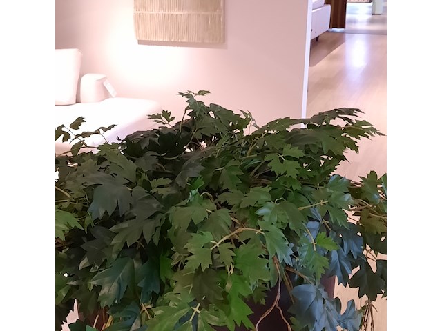 Kunstplant in pot colours&green - afbeelding 4 van  6