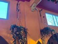 Kunstplant in pot (hangt op hoogte) - afbeelding 2 van  3