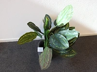 Kunstplant in pot, hoogte 80 cm.