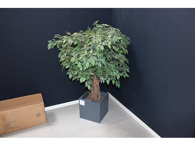 Kunstplant in pot hoogte circa 120 cm. - afbeelding 1 van  2