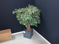 Kunstplant in pot hoogte circa 120 cm. - afbeelding 1 van  2