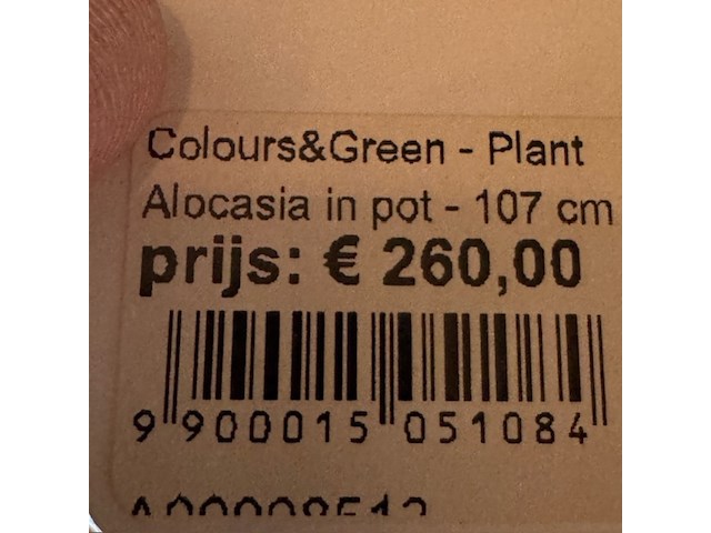 Kunstplant in pot, magazijn breit - afbeelding 3 van  4