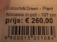 Kunstplant in pot, magazijn breit - afbeelding 3 van  4