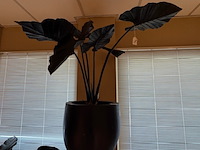 Kunstplant in pot, magazijn breit - afbeelding 4 van  4