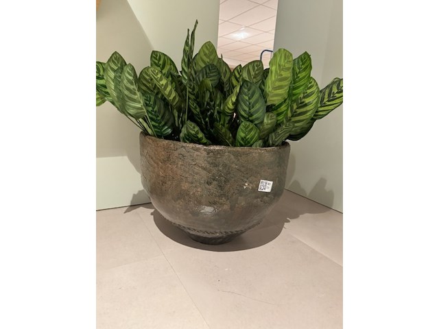 Kunstplant in pot, magazijn breit/colours&green, calathea makoyana - afbeelding 6 van  6
