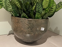 Kunstplant in pot, magazijn breit/colours&green, calathea makoyana - afbeelding 6 van  6