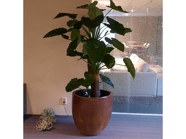 Kunstplant in pot magazijn breit/colours&green, unica - afbeelding 1 van  5