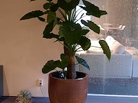 Kunstplant in pot magazijn breit/colours&green, unica - afbeelding 1 van  5