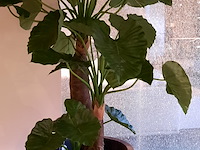 Kunstplant in pot magazijn breit/colours&green, unica - afbeelding 3 van  5