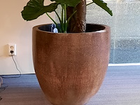 Kunstplant in pot magazijn breit/colours&green, unica - afbeelding 4 van  5