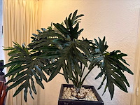 Kunstplant in pot met zuil (2x) - afbeelding 1 van  3