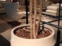 Kunstplant in pot, peach - afbeelding 5 van  5