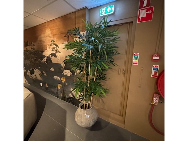 Kunstplant in pot, raw interiors/colours&green, new bamboo - afbeelding 1 van  4