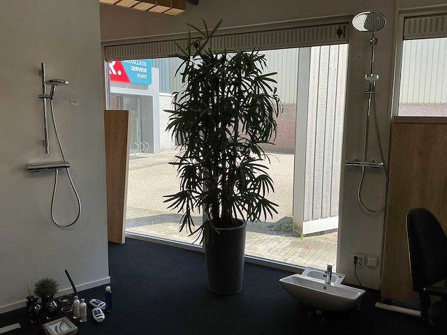 Kunstplant in pot - afbeelding 3 van  8