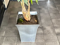 Kunstplant in pot - afbeelding 2 van  3