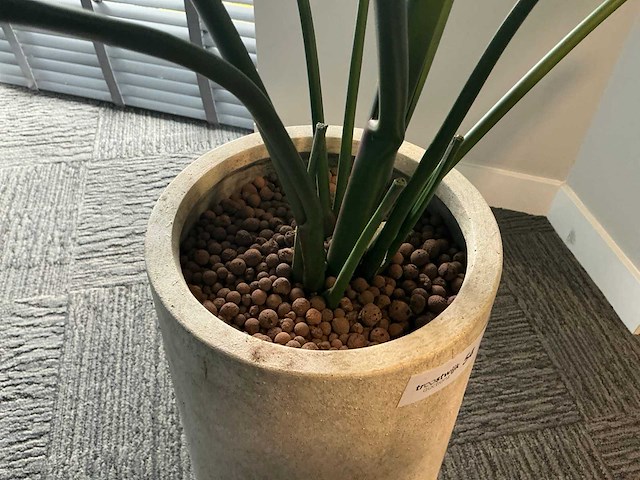 Kunstplant in pot - afbeelding 1 van  2