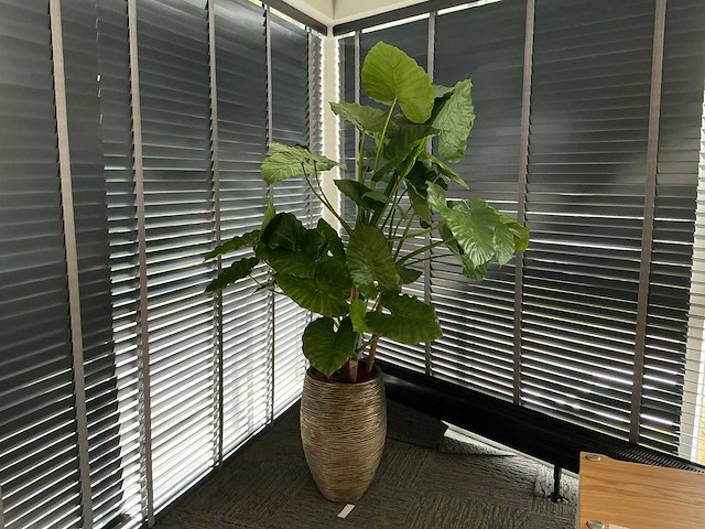 Kunstplant in pot - afbeelding 1 van  5