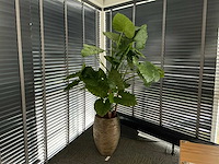 Kunstplant in pot - afbeelding 1 van  5