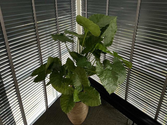 Kunstplant in pot - afbeelding 3 van  5