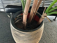 Kunstplant in pot - afbeelding 5 van  5