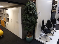 Kunstplant in pot - afbeelding 1 van  1