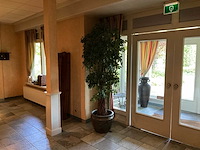 Kunstplant in pot - afbeelding 1 van  6