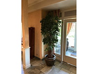 Kunstplant in pot - afbeelding 2 van  6