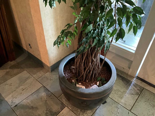 Kunstplant in pot - afbeelding 4 van  6
