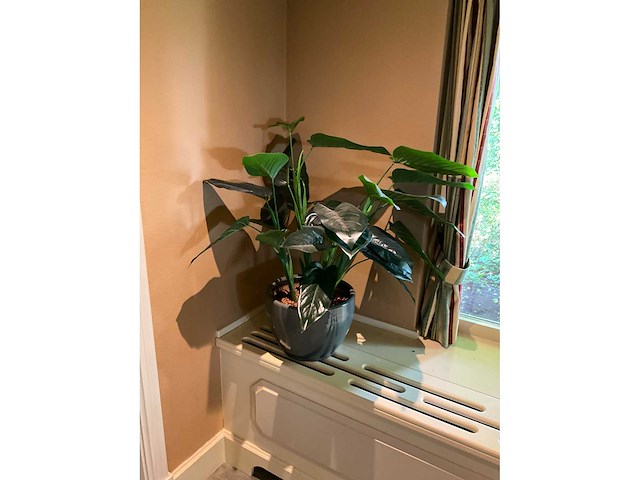 Kunstplant in pot - afbeelding 2 van  4