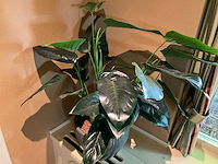Kunstplant in pot - afbeelding 3 van  4
